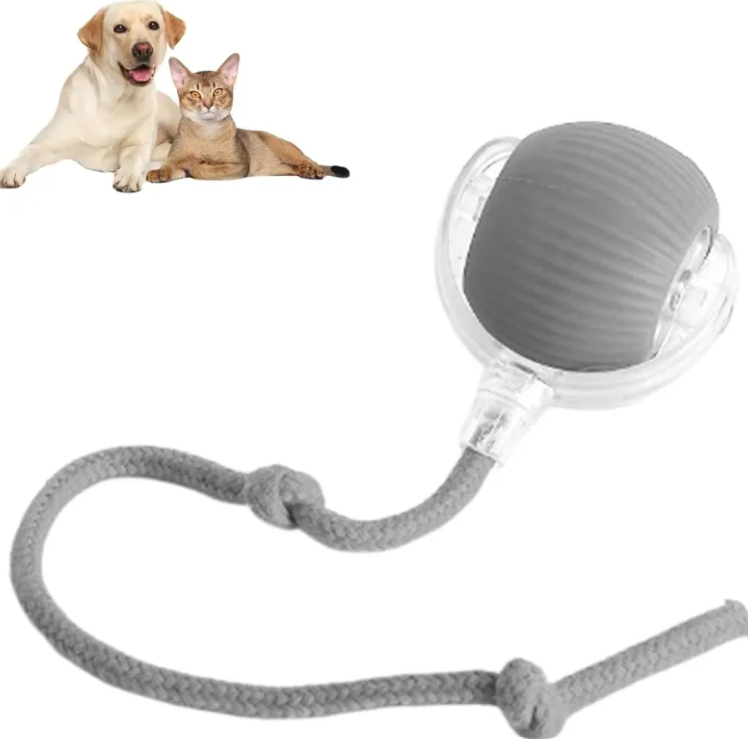 Pelota Juguete para Mascotas