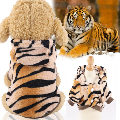 Conjunto Dino Delight para Mascotas