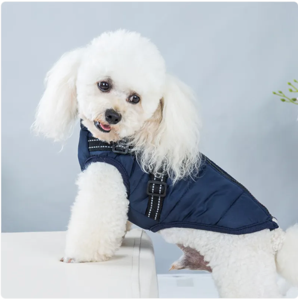 Chaleco Acolchado de Esquí para Mascotas – Abriga a tu Perro