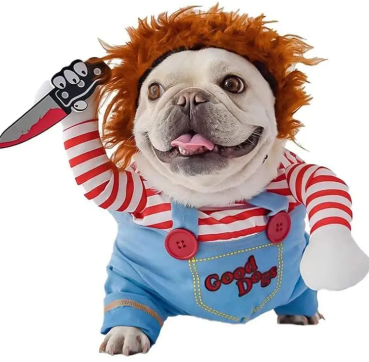 Set Halloween 3 Piezas para Mascotas