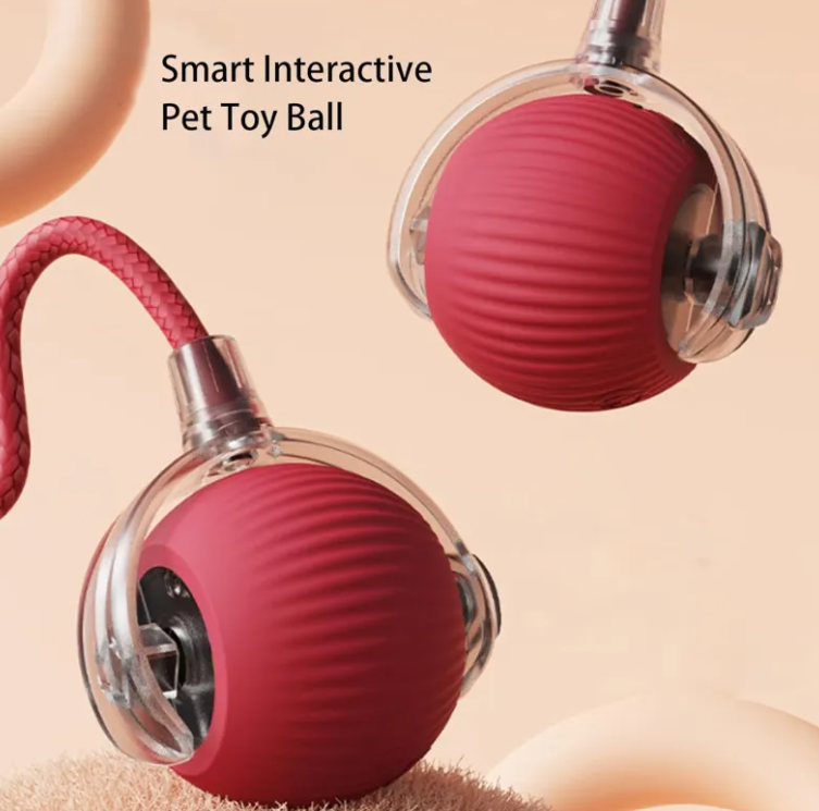 Pelota Juguete para Mascotas