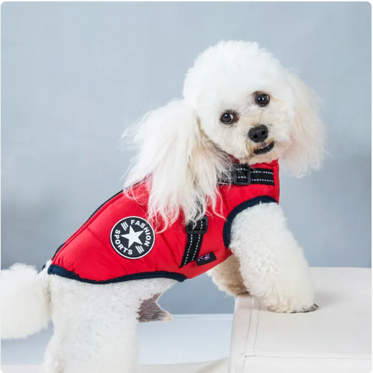 Chaleco Acolchado de Esquí para Mascotas – Abriga a tu Perro
